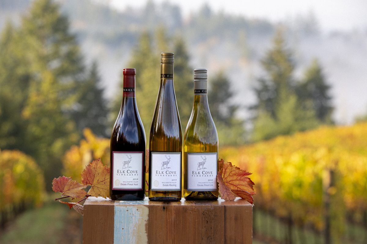 three bottles of wine and fall colors