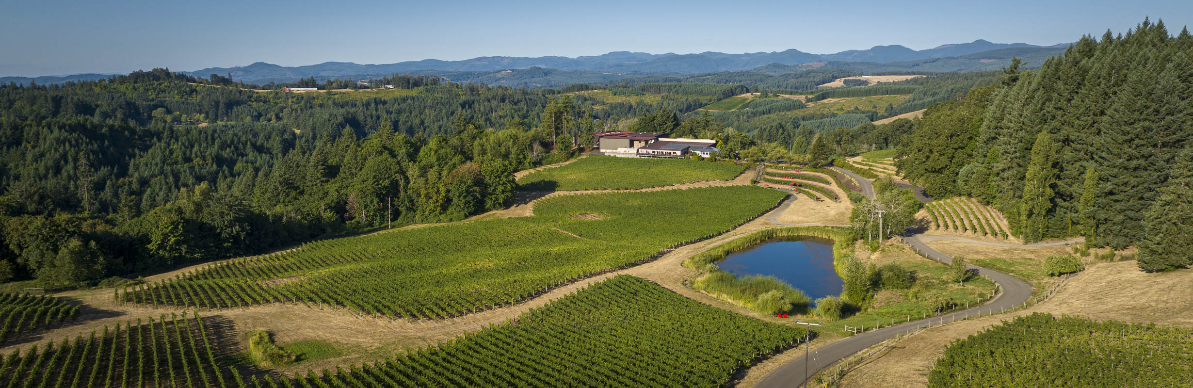 aerial photo of elk cove vineyards