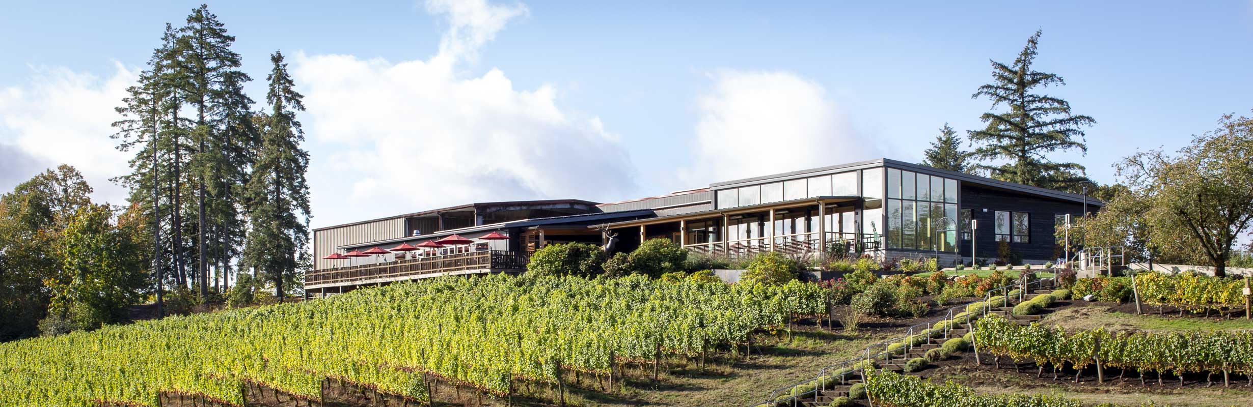 winery on a hill with tall fir trees and vineyards below