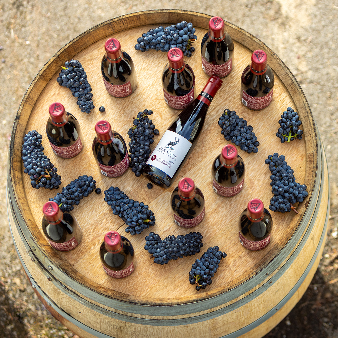 Pinot Noir Bitty Bottles