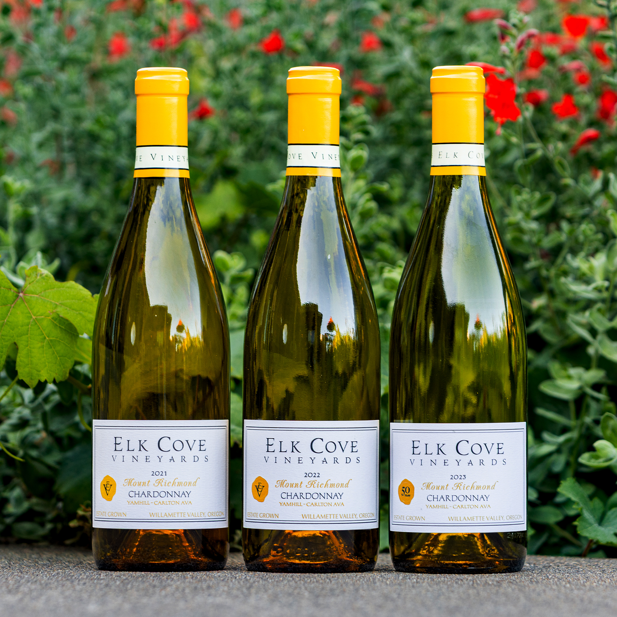 Chardonnay Vertical