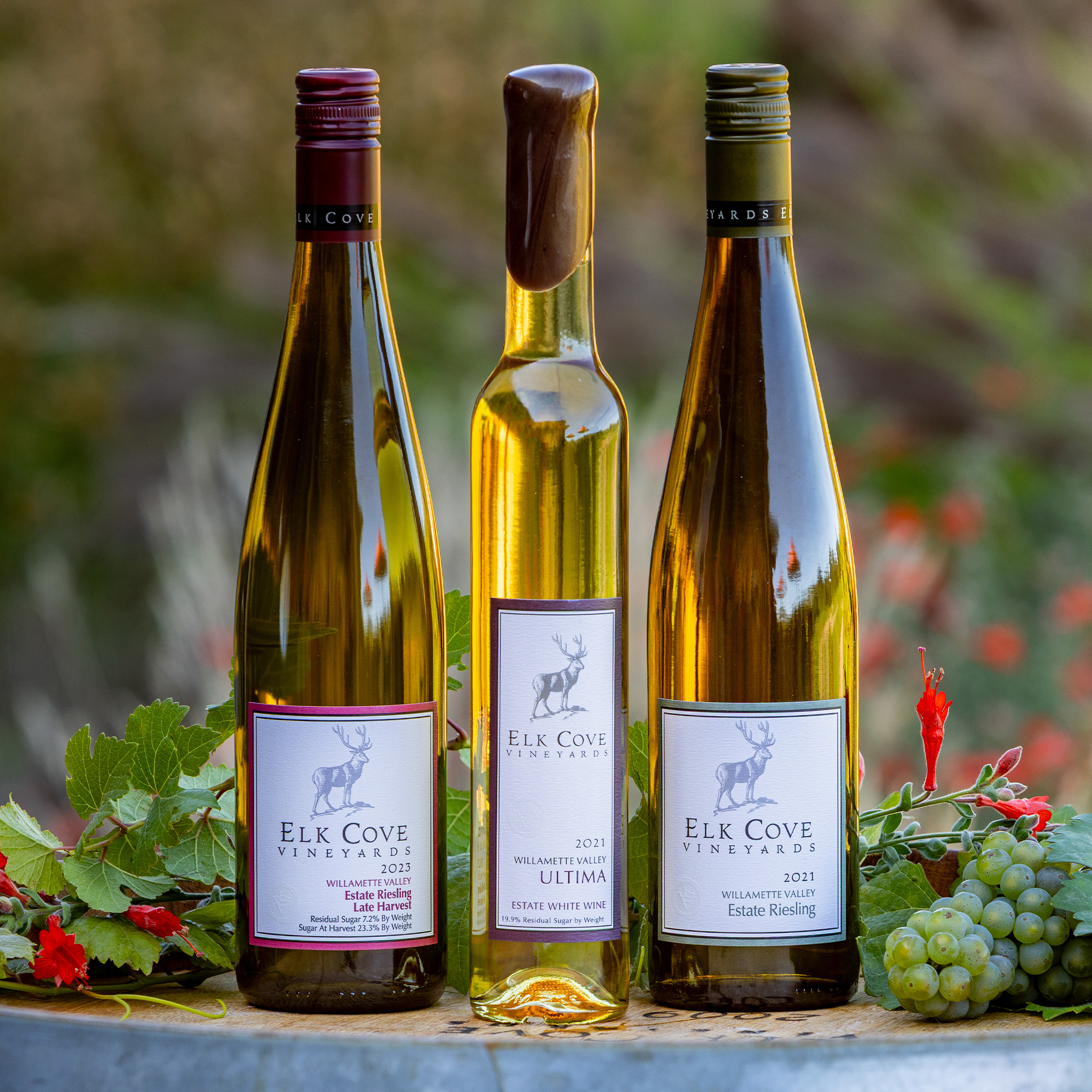 Riesling Lovers Trio