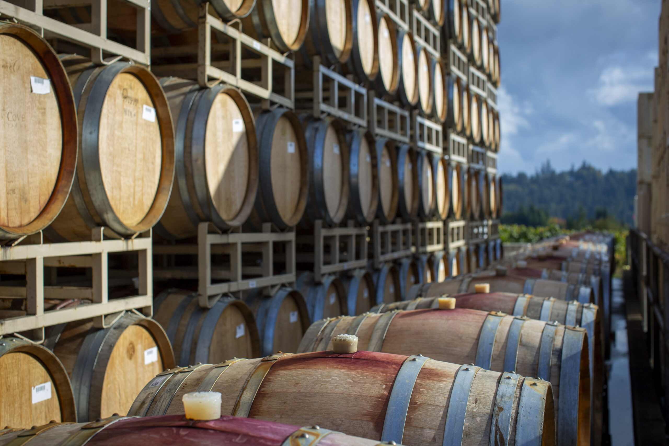 French oak Pinot Noir barrels ready for the cellar at Elk Cove Vineyards in Oregon's Willamette Valley