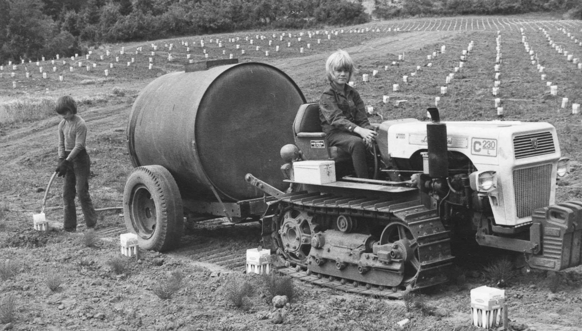 Klas and Fredrik Campbell watering young vines, 1974