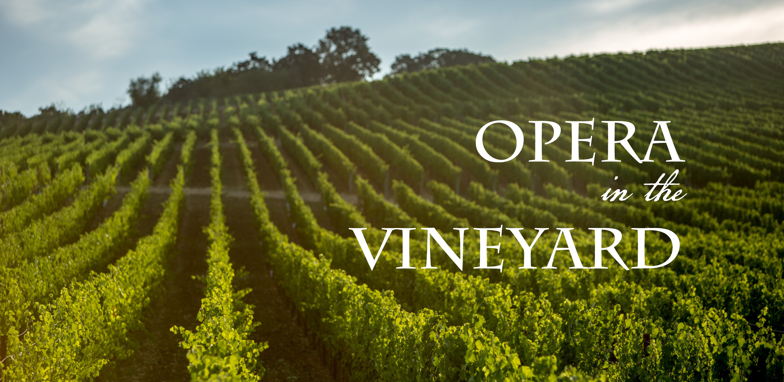 Opera in the Vineyard